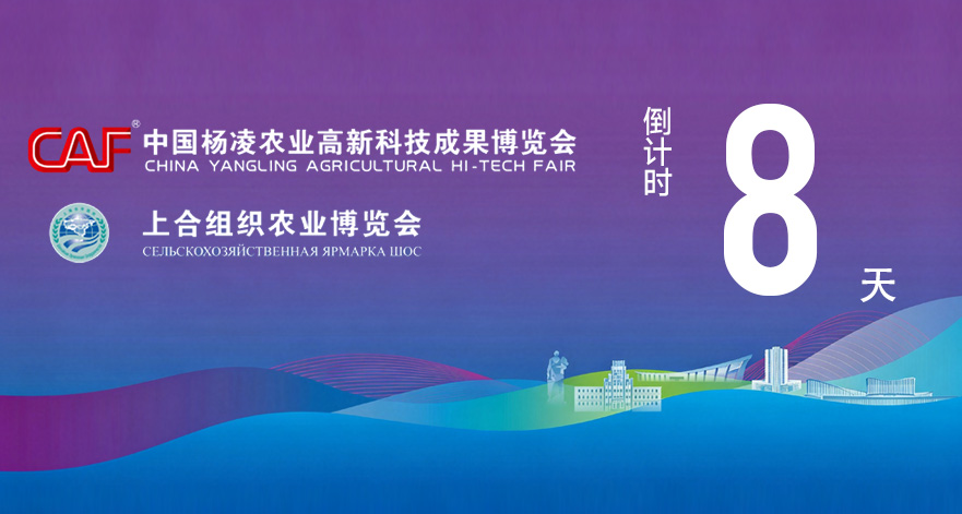 第33届杨凌农高会2026上合农博会距开幕还有8天