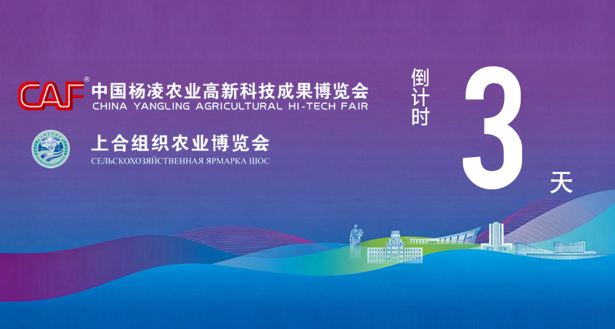 第33届杨凌农高会2026上合农博会距开幕还有3天