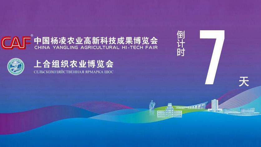 第33届杨凌农高会2026上合农博会距开幕还有7天