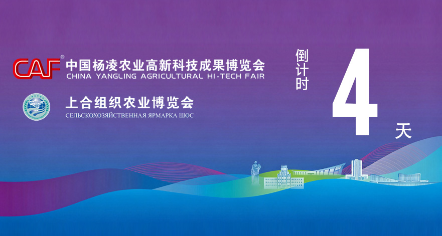 第33届杨凌农高会2026上合农博会距开幕还有4天