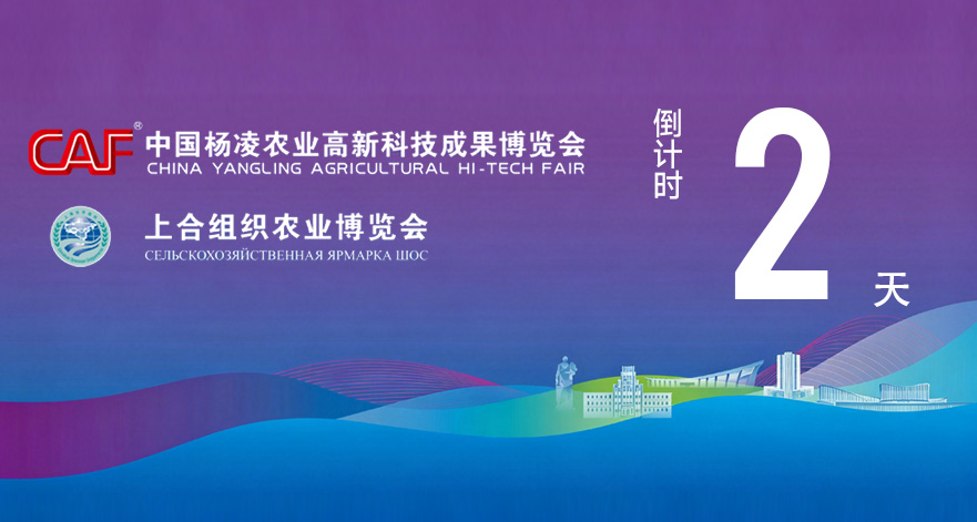 第33届杨凌农高会2026上合农博会距开幕还有2天