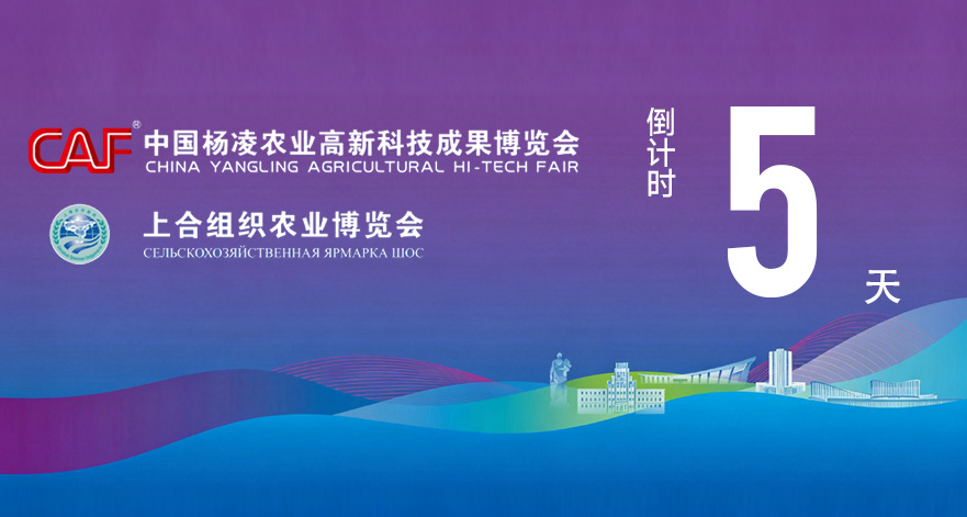 第33届杨凌农高会2026上合农博会距开幕还有5天