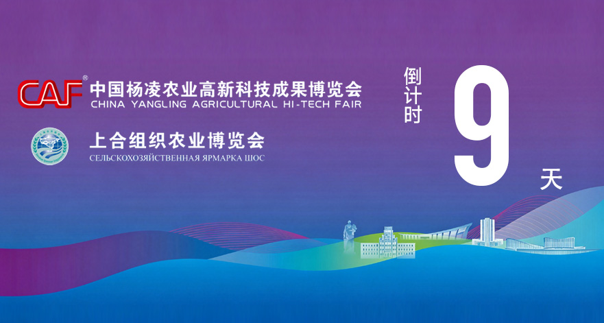 第33届杨凌农高会2026上合农博会距开幕还有9天