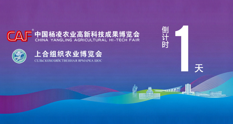 第33届杨凌农高会2026上合农博会距开幕还有1天