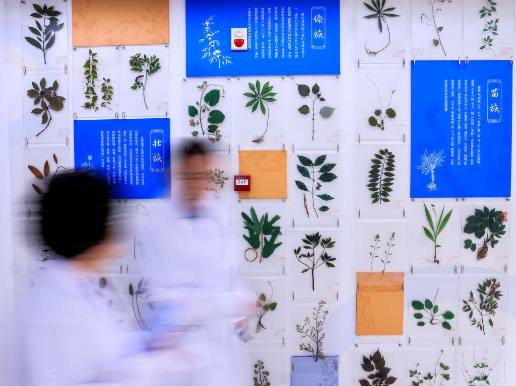 岐黄新韵 百草同芳——写在2026世界传统医药大会召开之际