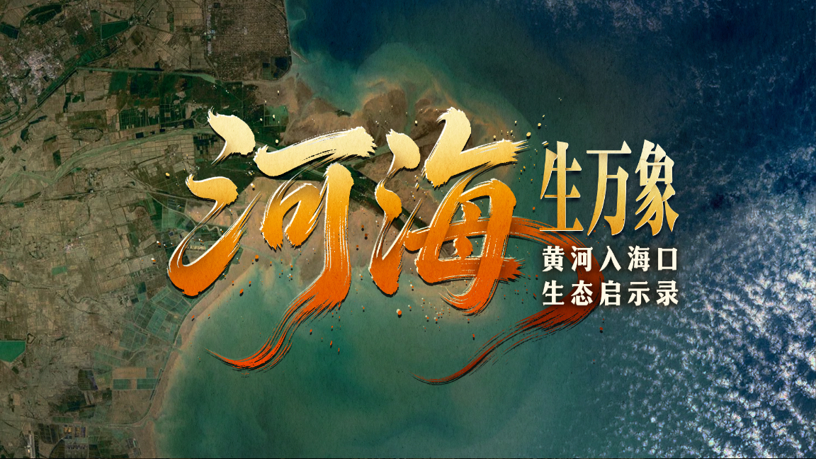 河海生万象——黄河入海口生态启示录