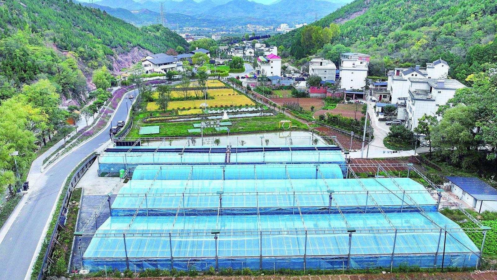 守护汉江丹江水源 共享绿色发展成果