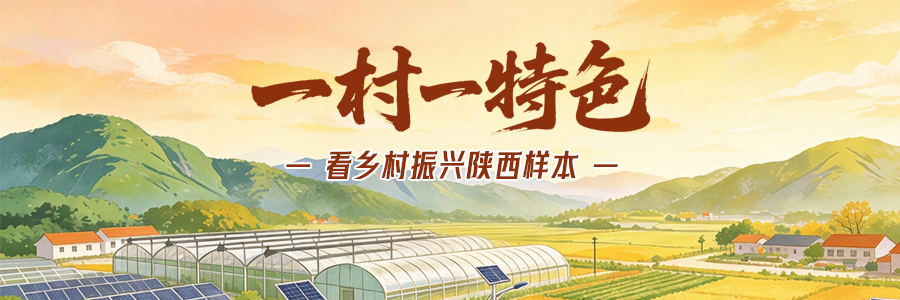一村一特色——看乡村振兴陕西样本